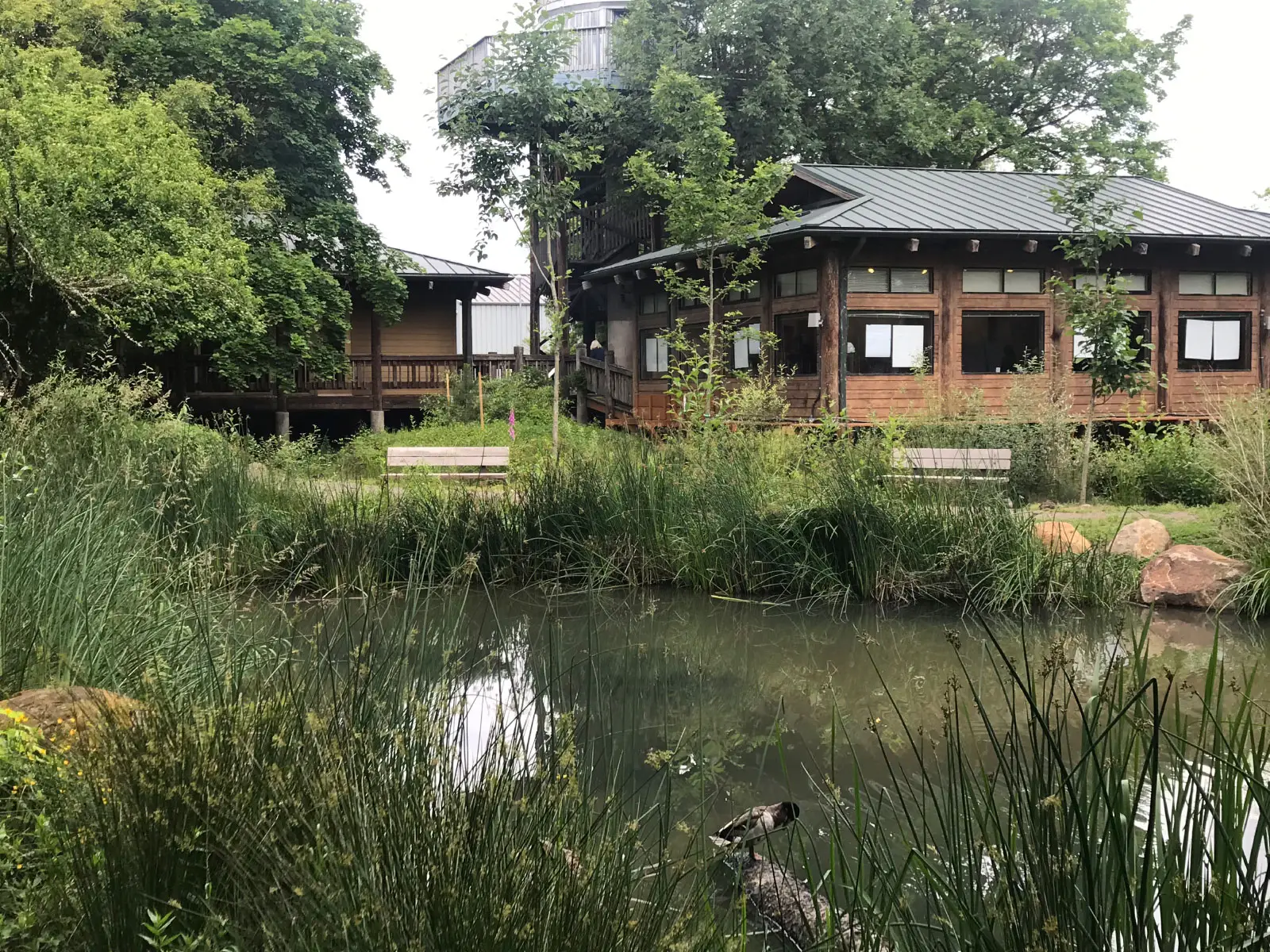 The nearby lake and grass next to the Lakeside Hall and Pavilion at the Environmental Learning Center The nearby lake and grass next to the Lakeside Hall and Pavilion at the Environmental Learning Center