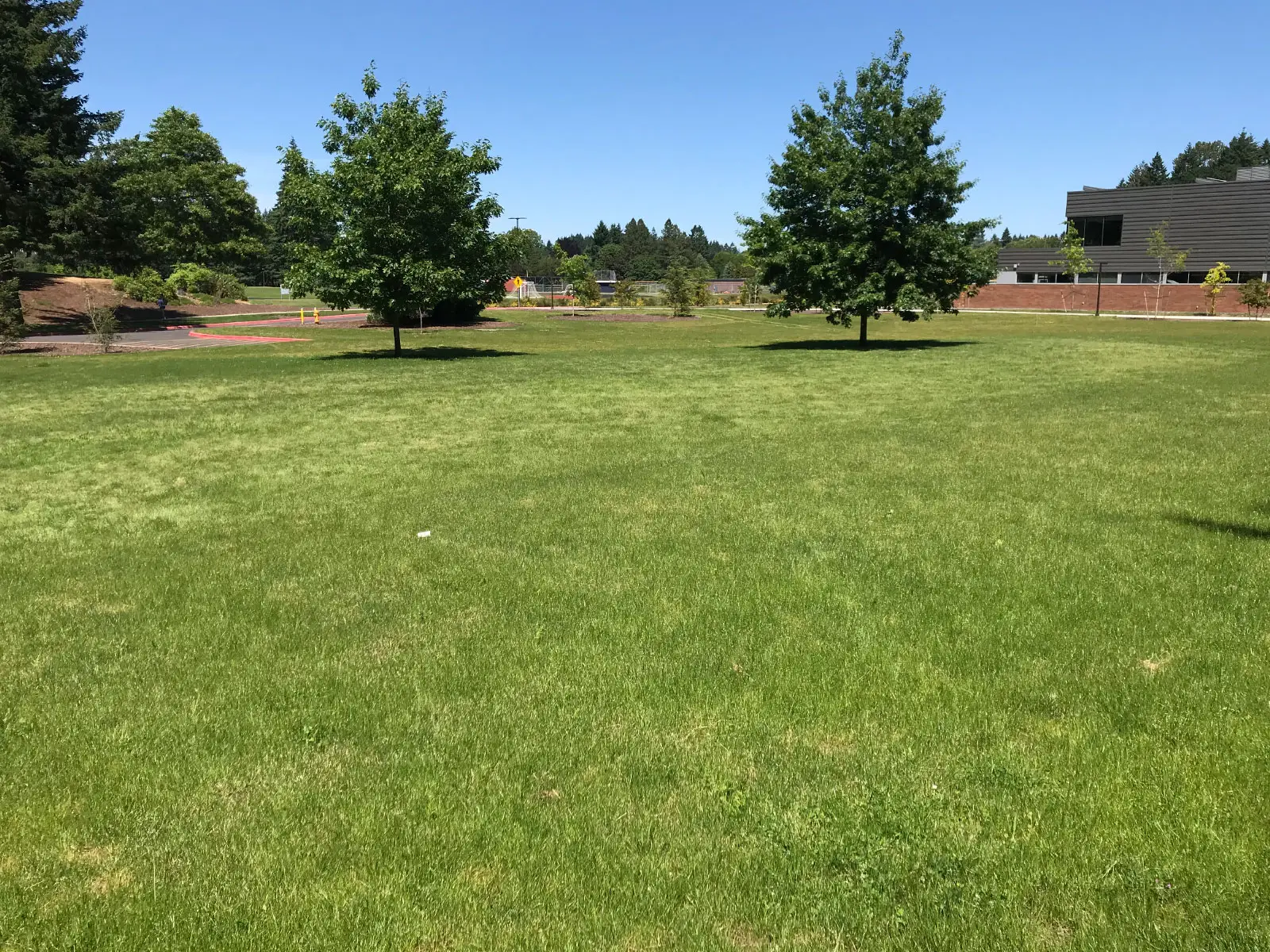 An open field of green grass next to the Industrial Technology Center with lush trees at the Oregon City campus An open field of green grass next to the Industrial Technology Center with lush trees at the Oregon City campus