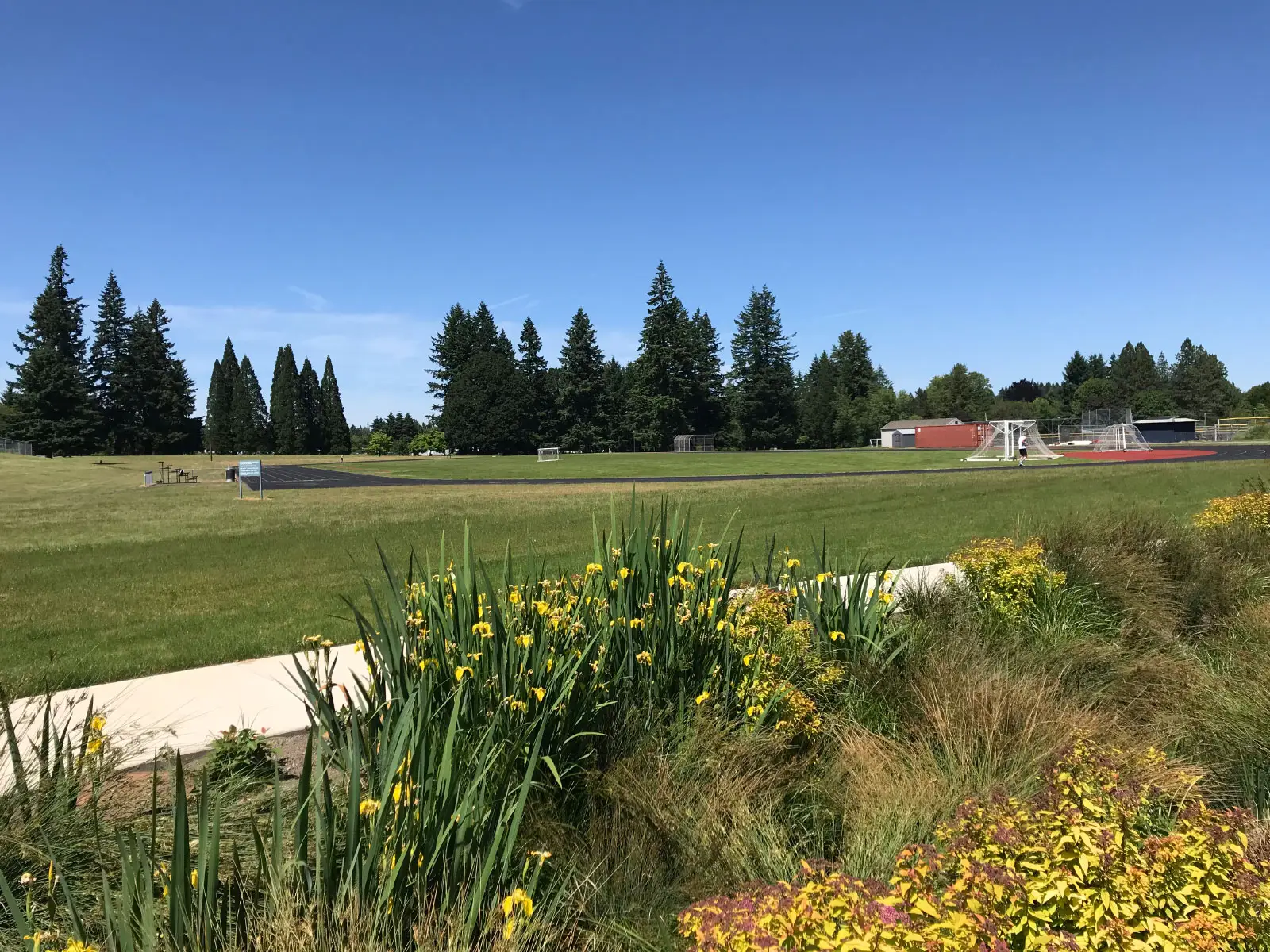 A set of yellow flowers and grass in front of the field and running track on the Oregon City campus A set of yellow flowers and grass in front of the field and running track on the Oregon City campus