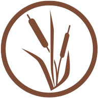 CCC Virtual Field Trip Wetlands at Work icon, a set of brown reeds